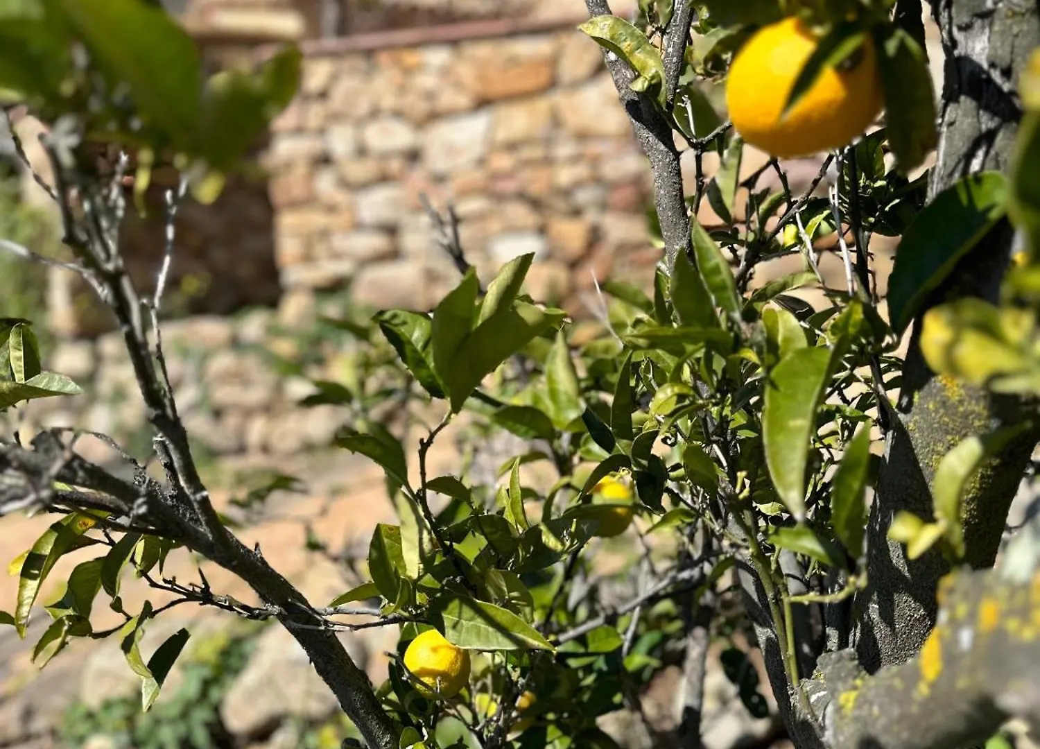 B&B La Vista Brava Platja d'Aro Country house