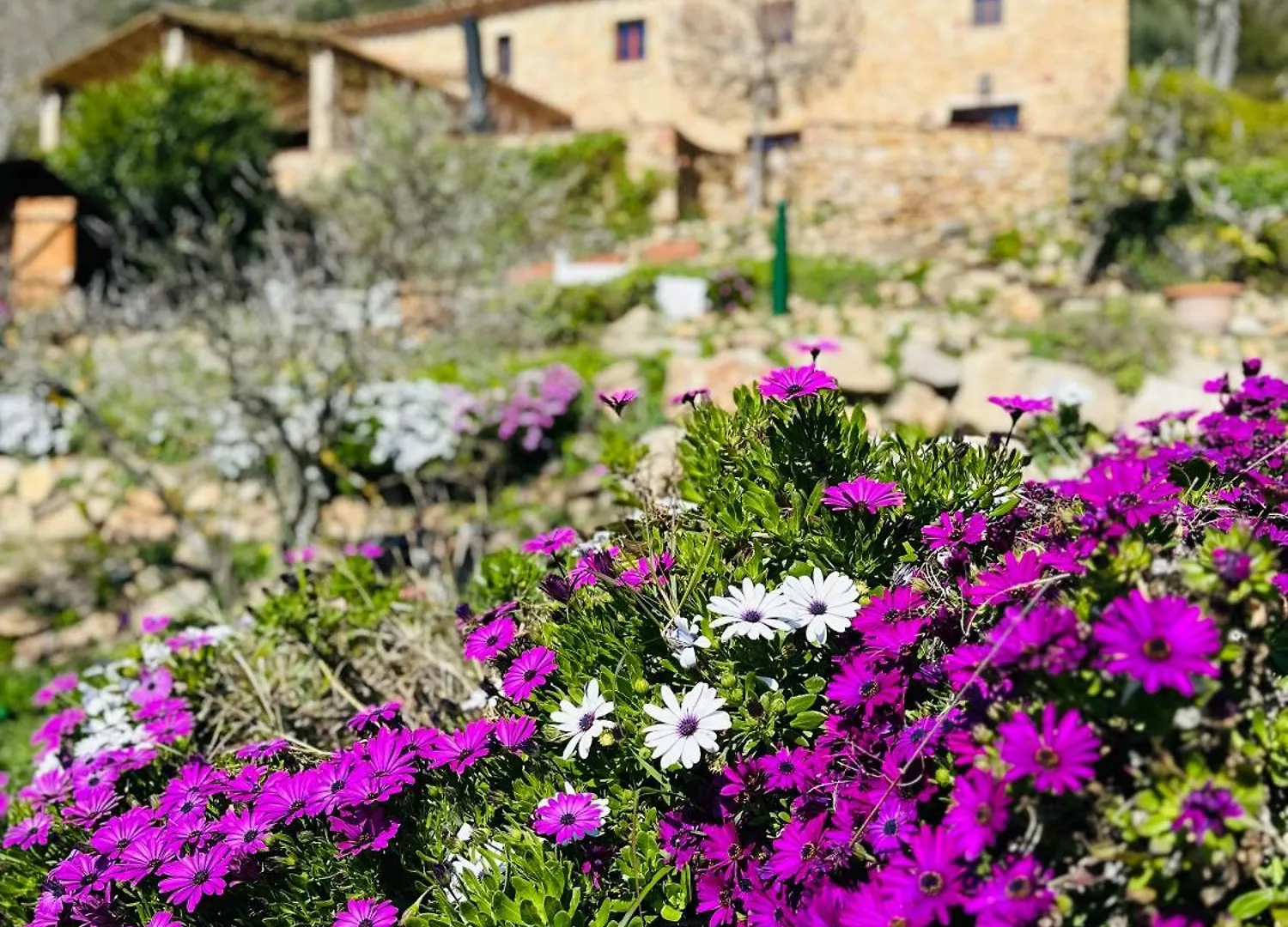 Country house B&B La Vista Brava Platja d'Aro